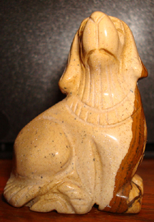 Picture Jasper Dog